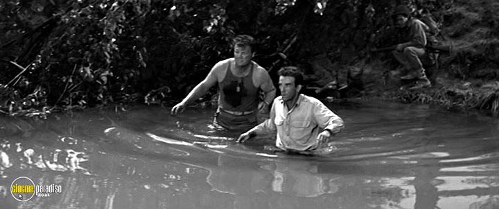A still #6 from Young Lions (1958)