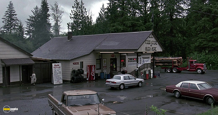 A still #31 from Kindergarten Cop (1990)