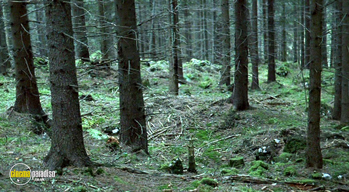 A still #15 from Hotel (2003)