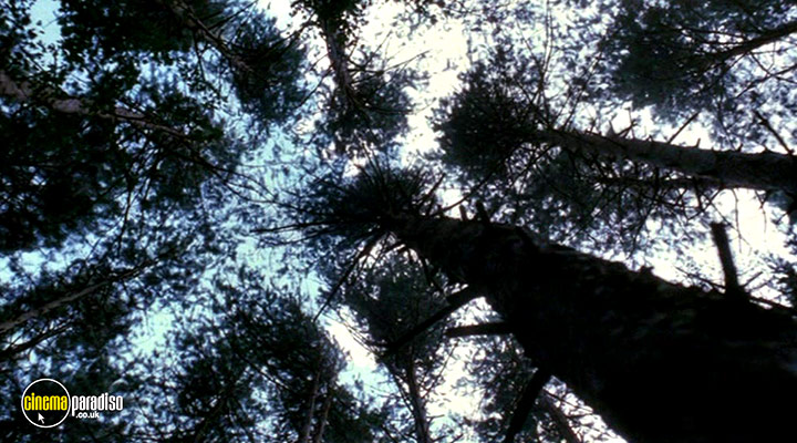 A still #29 from I Am David (2004)