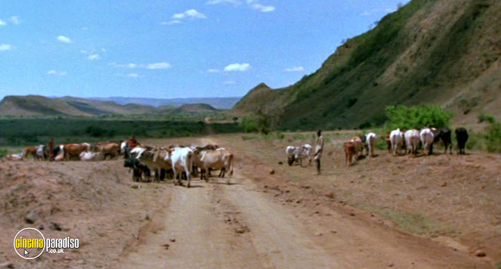 A still #20 from White Mischief (1987)
