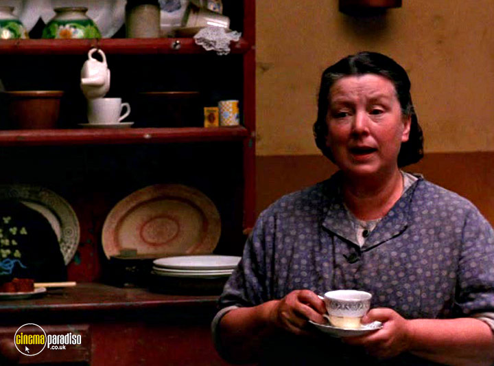 A still #19 from The Secret of Roan Inish (1994)
