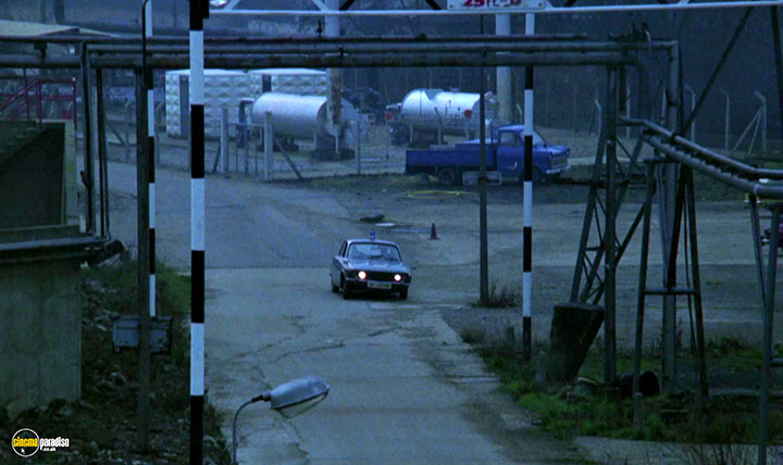 A still #24 from The Playbirds (1978)