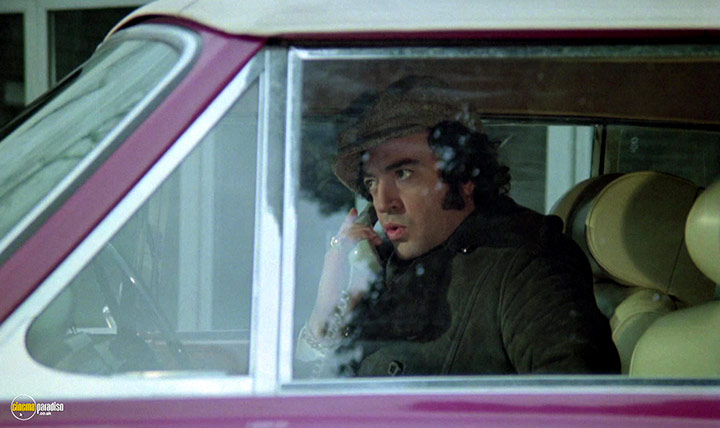 A still #29 from The Playbirds (1978)