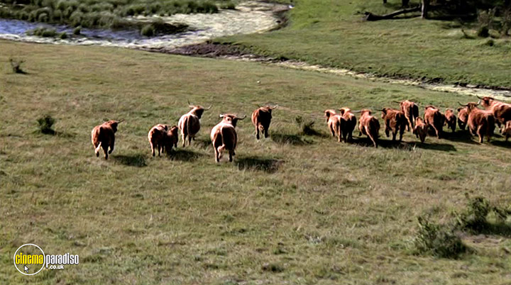 A still #22 from Heartland: Series 2 (2008)