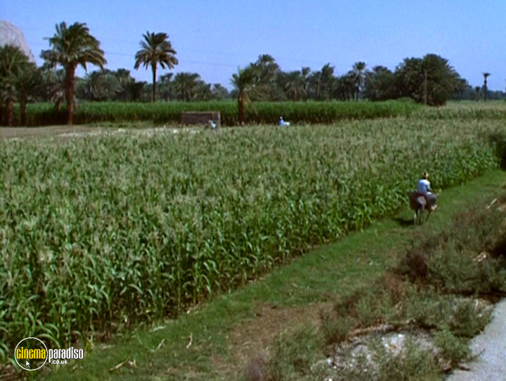 A still #26 from Mary Magdalene: The Hidden Apostle (2008)