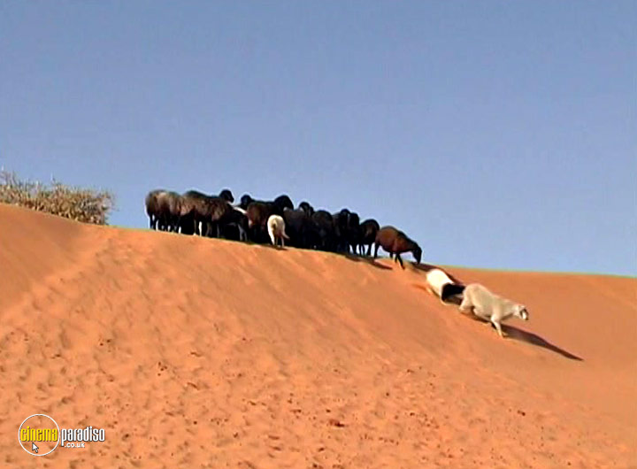 A still #24 from Exploring the Kalahari: An Adventure in Time Travel (2010)