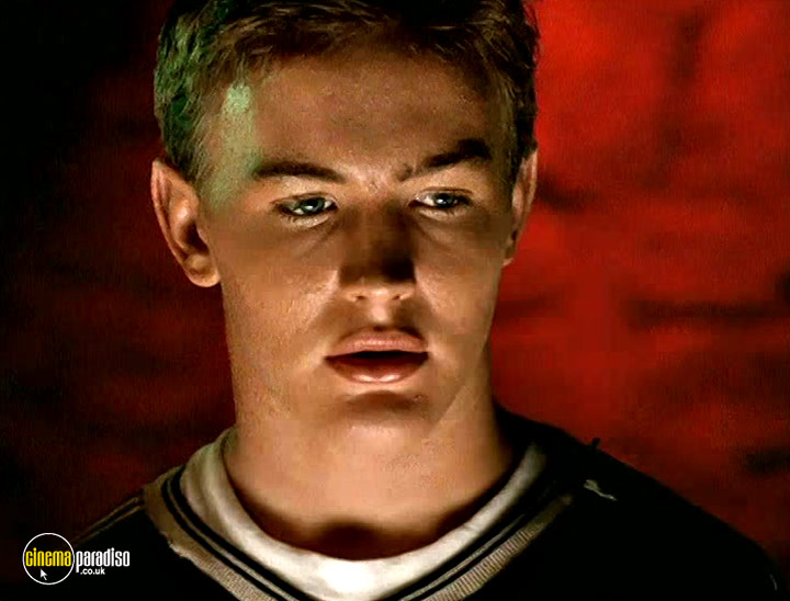 Cinema Paradiso 4K Bluray, Bluray & DVD Rental service