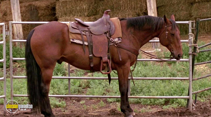 A still #8 from Heartland: Series 4 (2010)
