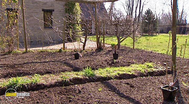 A still #24 from How to Grow Fruit (2006)
