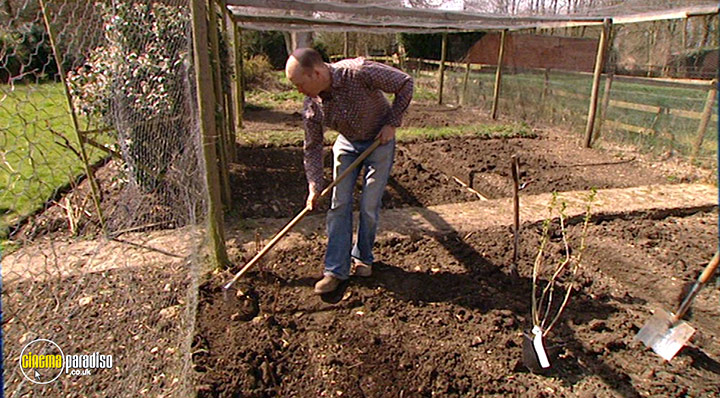 A still #19 from How to Grow Fruit (2006)