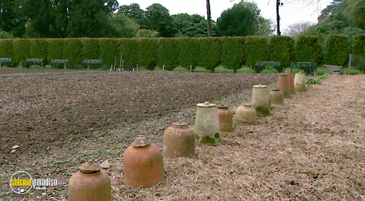 A still #16 from How to Grow Fruit (2006)