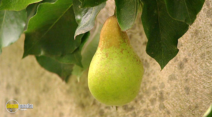 A still #9 from How to Grow Fruit (2006)