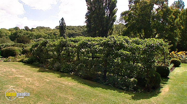 A still #8 from How to Grow Fruit (2006)