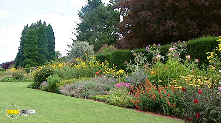 A still #3 from How to Grow Fruit (2006)