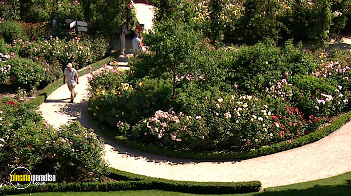 A still #2 from How to Grow Fruit (2006)