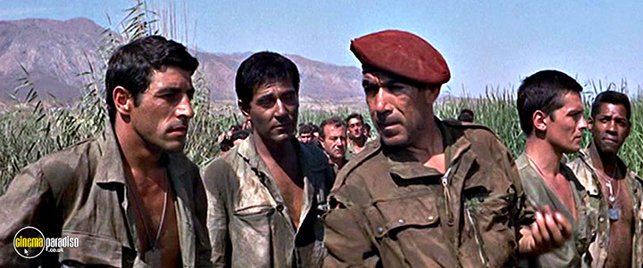 A still #29 from Lost Command (1966)