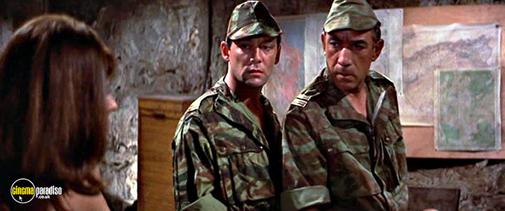 A still #7 from Lost Command (1966)