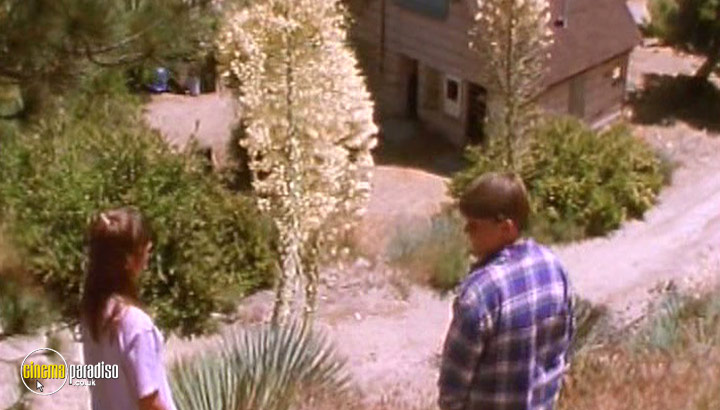 A still #18 from Skinned Deep (2004)