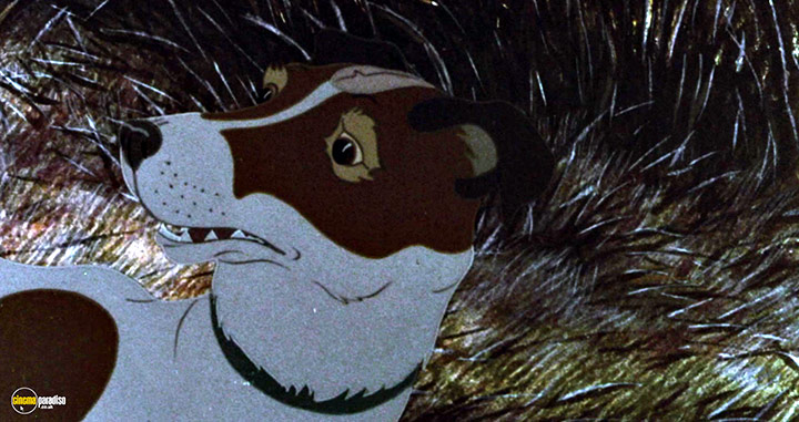 A still #55 from The Plague Dogs (1982)