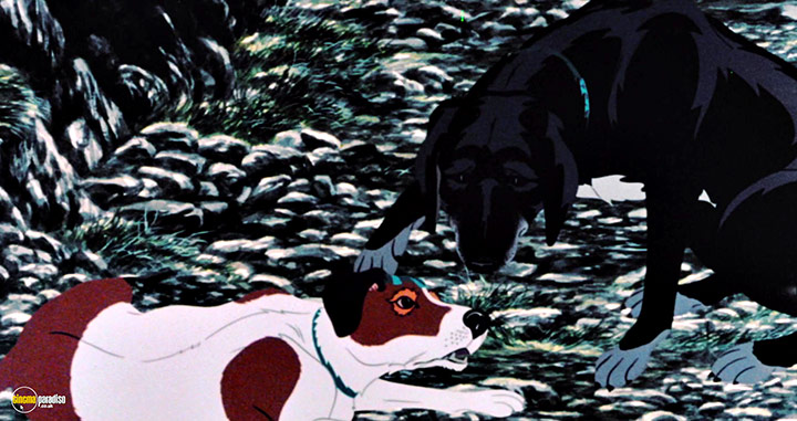 A still #43 from The Plague Dogs (1982)