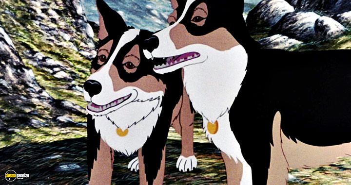 A still #42 from The Plague Dogs (1982)