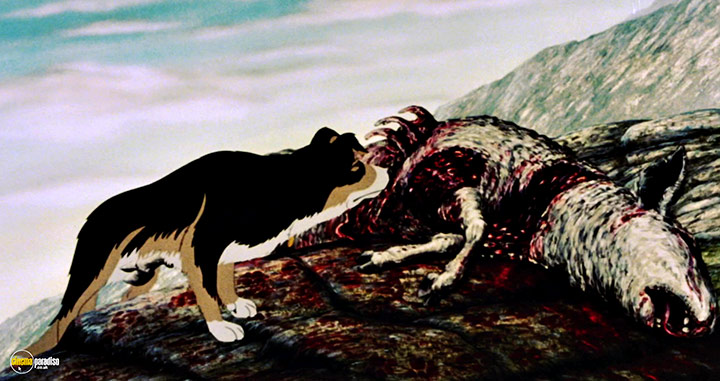 A still #40 from The Plague Dogs (1982)