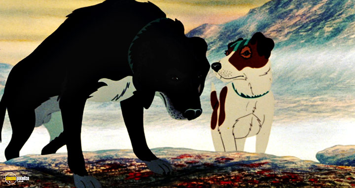 A still #39 from The Plague Dogs (1982)
