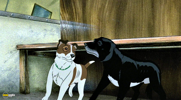 A still #32 from The Plague Dogs (1982)