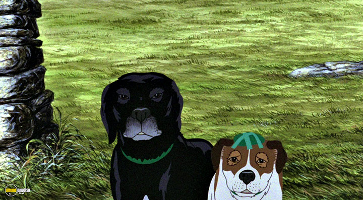 A still #22 from The Plague Dogs (1982)