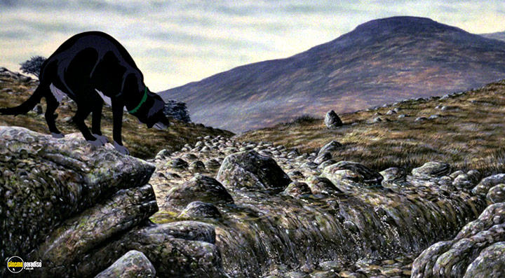 A still #28 from The Plague Dogs (1982)
