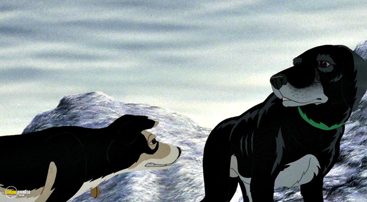 A still #25 from The Plague Dogs (1982)