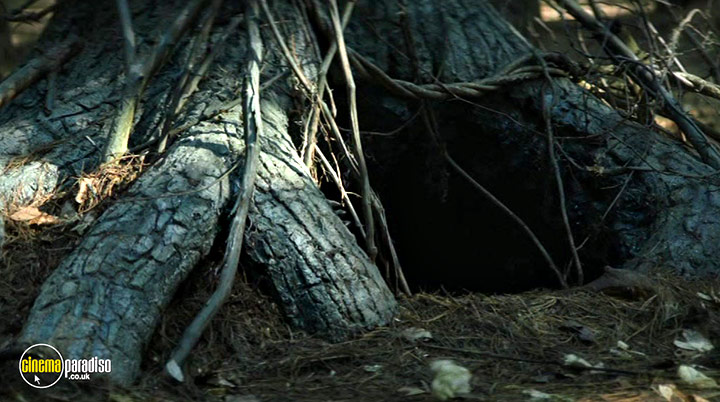 A still #14 from The Wretched (2019)