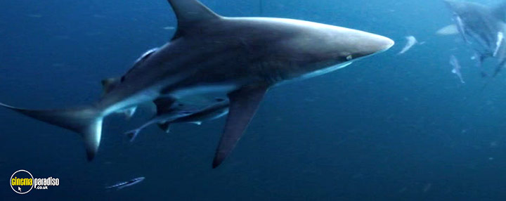 A still #40 from Deep Blue Sea 3 (2020)