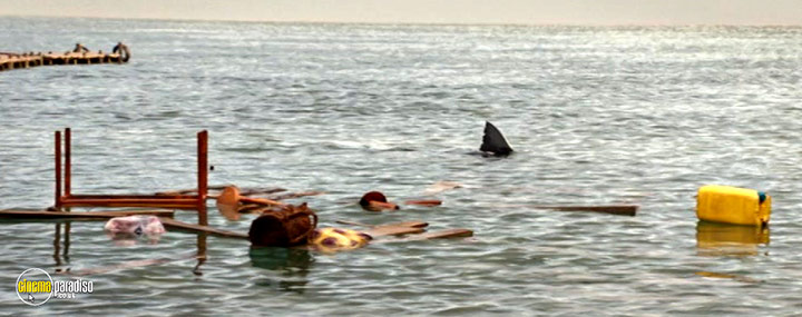 A still #65 from Deep Blue Sea 3 (2020)