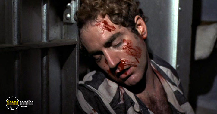 A still #28 from Bloody Mama (1970)