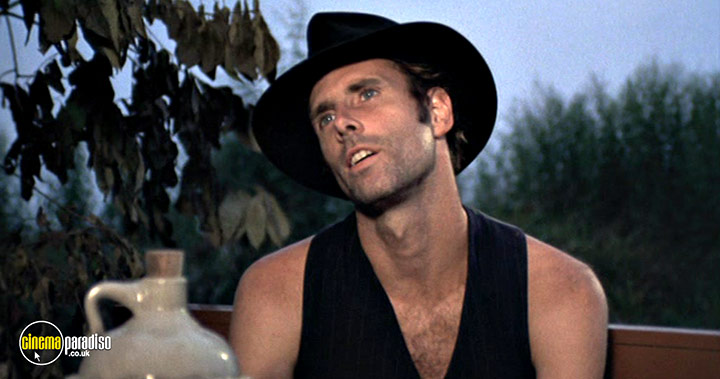 A still #12 from Bloody Mama (1970)