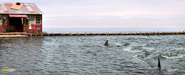 A still #19 from Deep Blue Sea 3 (2020)