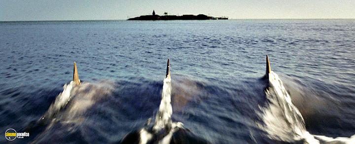 A still #14 from Deep Blue Sea 3 (2020)