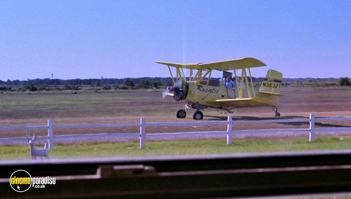 A still #3 from Rosalie Goes Shopping (1989)