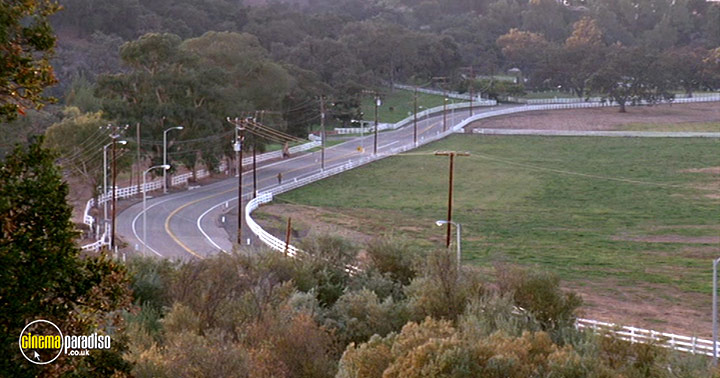 A still #13 from S.F.W. (1994)