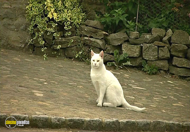 A still #8 from Yorkshire Dales: A Landscape of Longing (2005)