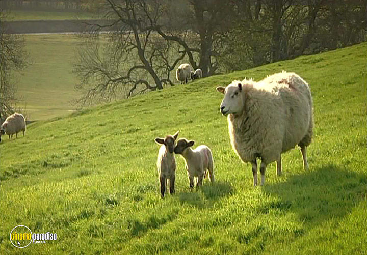 A still #5 from Yorkshire Dales: A Landscape of Longing (2005)