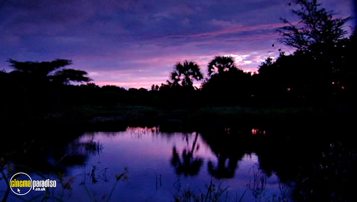 A still #23 from Animal Nation: Frogs (2007)