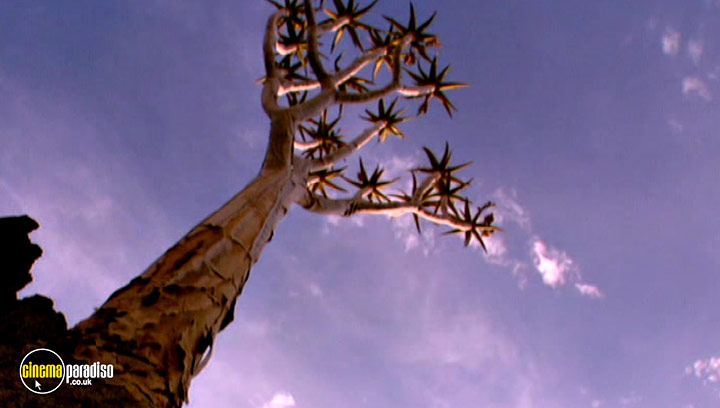 A still #12 from Animal Nation: Frogs (2007)
