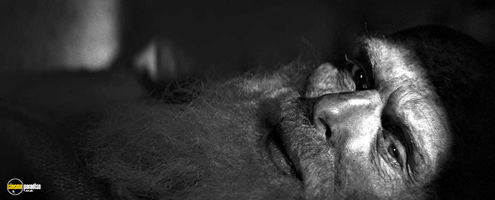 A still #35 from The Painted Bird (2019)