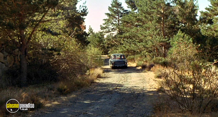 A still #29 from Werewolf Shadow (1971)