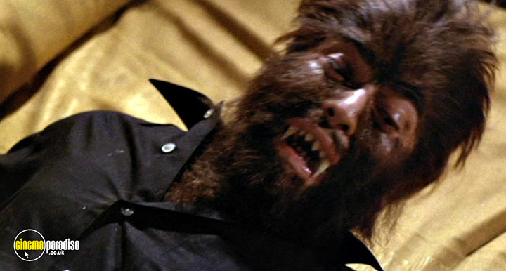 A still #17 from Werewolf Shadow (1971)
