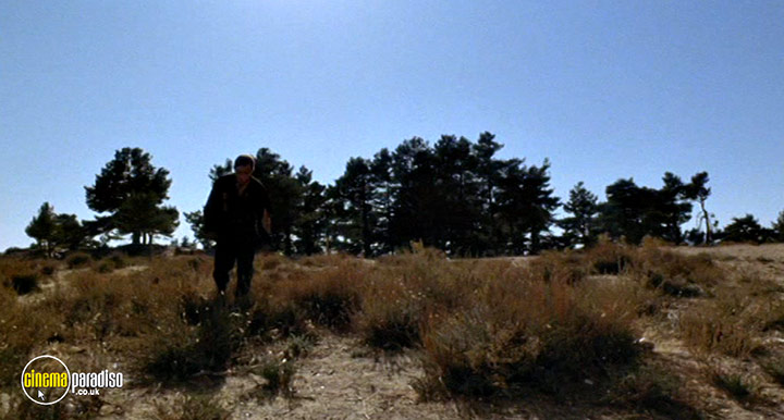 A still #16 from Werewolf Shadow (1971)