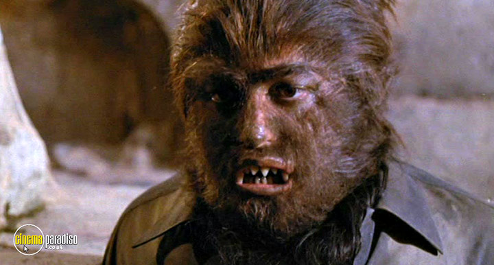 A still #1 from Werewolf Shadow (1971)